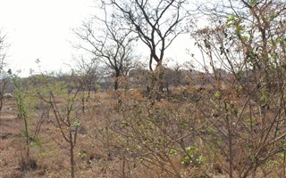 1000 m² Land available in Hectorspruit
