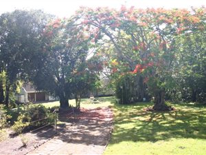 22 ha Farm in Kwelera