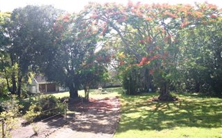 22 ha Farm in Kwelera