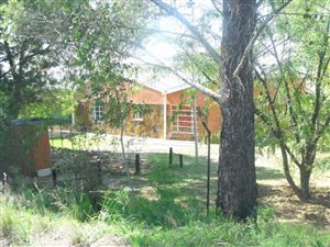 3 Bedroom House in Aliwal North