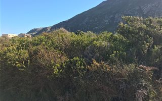 880 m² Land available in Bettys Bay