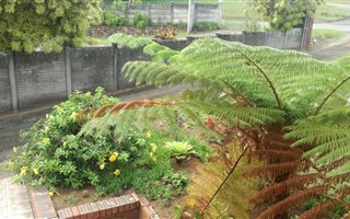 3 Bedroom House in Athlone Park
