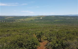 101 ha Farm in Ashburton