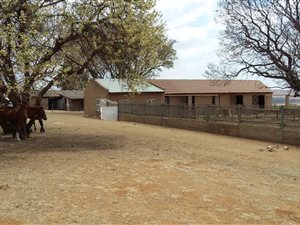 13 ha Farm in Elandshoek