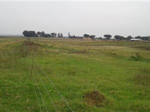 2 m² Land available in Sundra