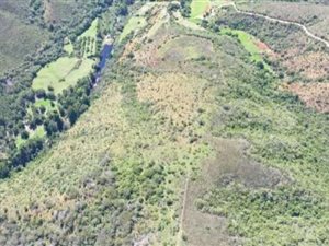 Farm in Klein Brak River