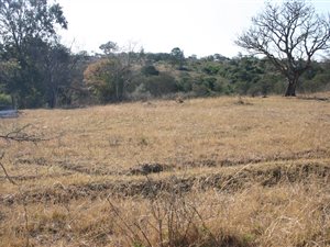 86 ha Land available in King Williams Town