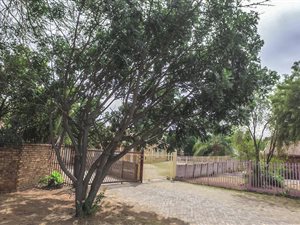 3 Bed Duet in Theresa Park