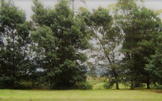 700 m² Land available in Die Bult