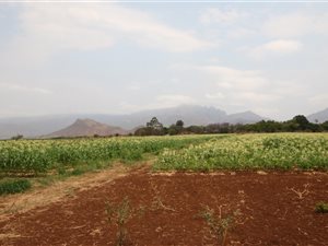 240 ha Farm in Hoedspruit