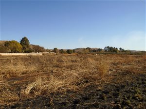 5 ha Land available in Honingklip AH