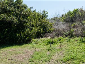 1597 m² Land available in Oubaai and surrounds