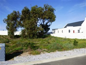 377 m² Land available in Yzerfontein