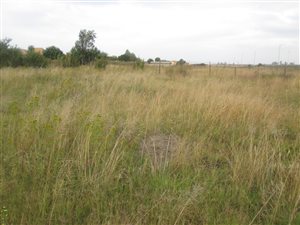 1118 m² Land available in Welgedacht