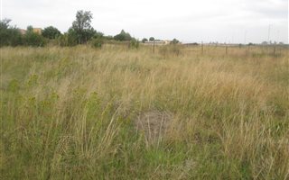 1118 m² Land available in Welgedacht