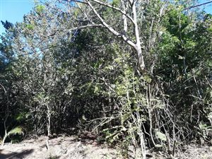 4393 m² Land available in Southbroom