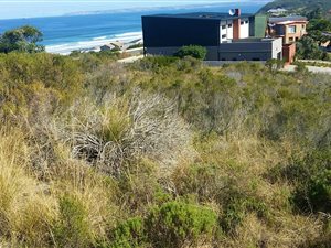 527 m² Land available in Pienaarstrand