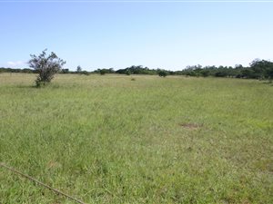 111 ha Land available in Stutterheim