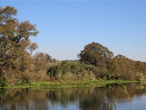 20 ha Farm in Bronkhorstspruit