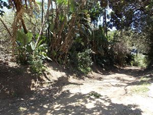 1440 m² Land available in Palm Beach