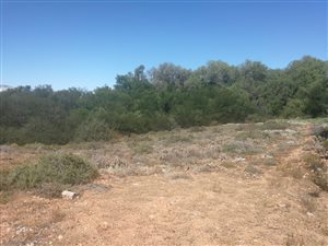 1361 m² Land available in Blue Downs