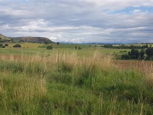 33.8 ha Farm in Fouriesburg