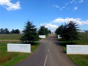 1000 m² Land available in Lions River