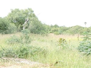 1.8 ha Land available in Zeerust