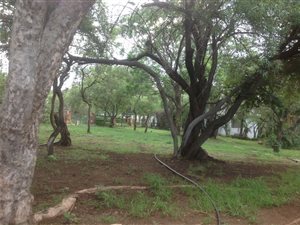 43.2 ha Land available in Leeuwfontein
