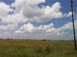 42 ha Farm in Magaliesburg