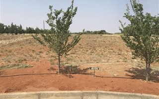 990 m² Land available in Magersfontein Memorial Golf Estate