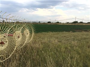 8.5 ha Farm in Bela-Bela (Warmbaths)