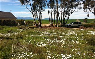 1004 m² Land available in Koringberg