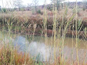 21 m² Land available in Dinokeng