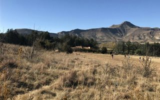 3011 m² Land available in Clarens