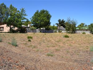 1119 m² Land available in Prince Alfred Hamlet