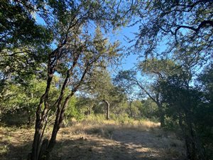 1 ha Land available in Hoedspruit