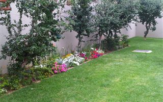 1 Bedroom Apartment in Pineslopes