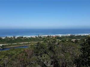 4 ha Land available in Wilderness Heights