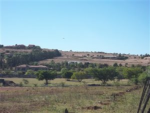 1 ha Land available in Blue Saddle Ranches