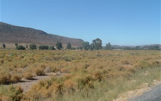 2 ha Land available in Touws Rivier