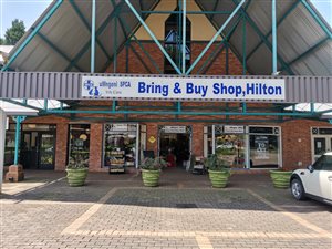 351 m² Commercial space in Hilton