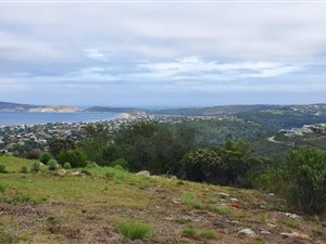 1172 m² Land available in Cutty Sark