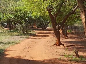 432.2 ha Farm in Strydfontein and surrounds