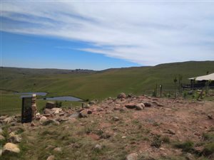 1 ha Land available in Dullstroom