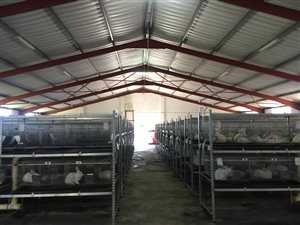 900 m² Commercial space in Cliffdale