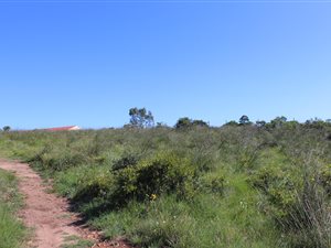 2000 m² Land available in Grahamstown