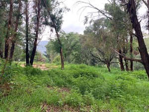 3011 m² Land available in Clarens