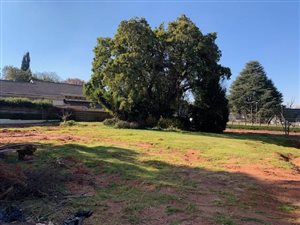 3023 m² Land available in Birdhaven