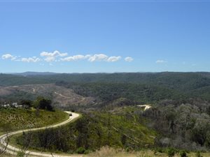 6322 m² Land available in Pezula Golf Estate
